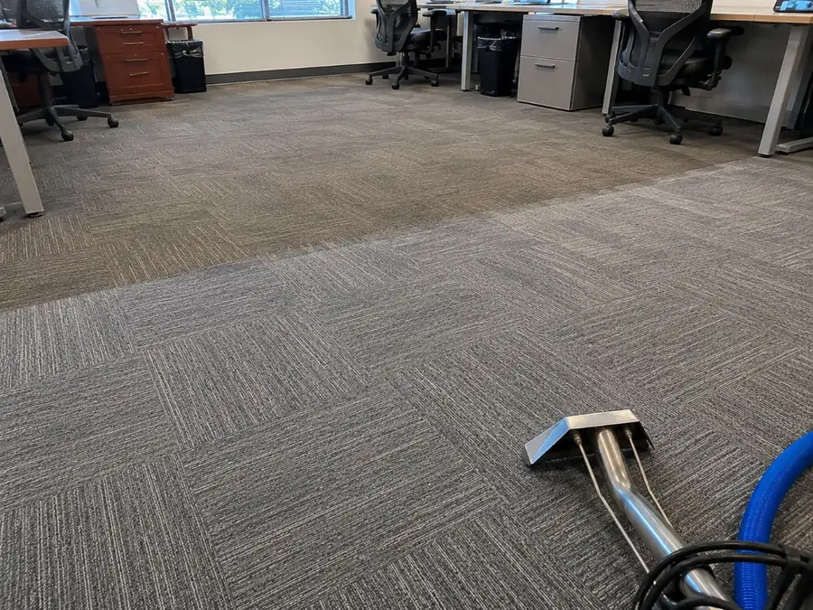 Commercial carpet mid-extraction — clean line showing brightened carpet against traffic soil